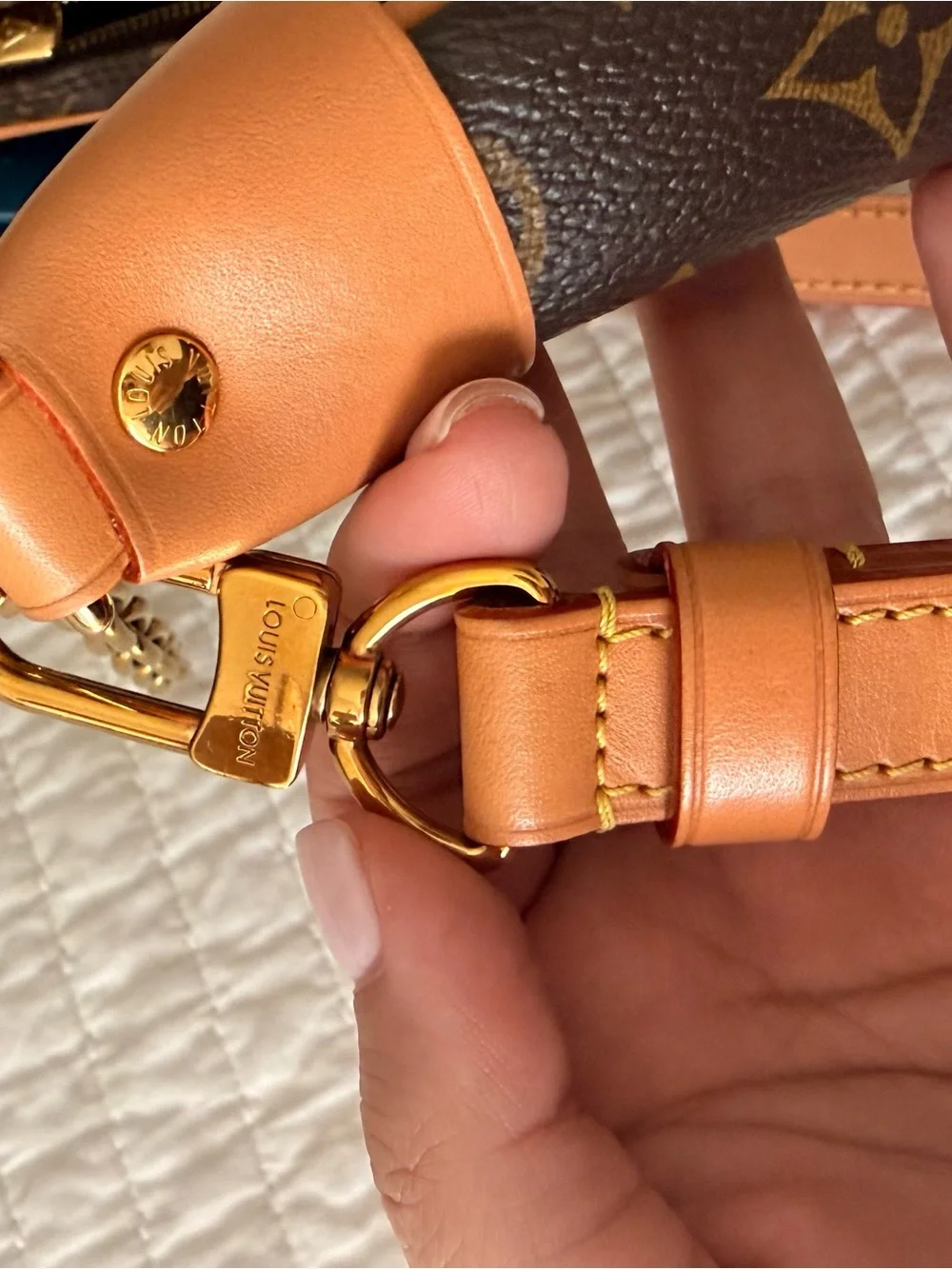 Louis Vuitton Brown Monogram Loop Bag